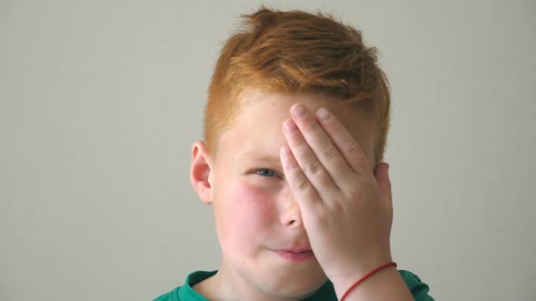 Portrait of Serious Red Hair Boy with Freckles