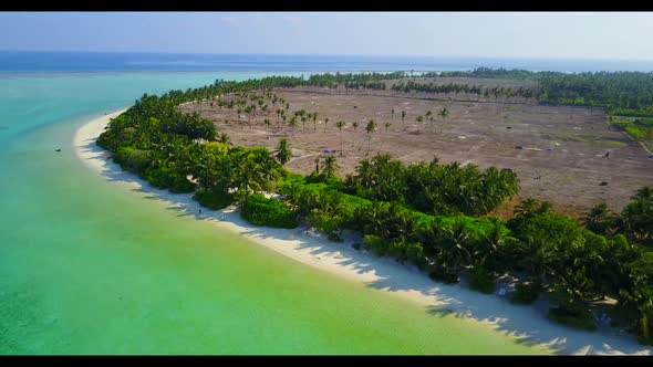 Aerial drone view scenery of tranquil lagoon beach wildlife by turquoise sea and white sandy backgro