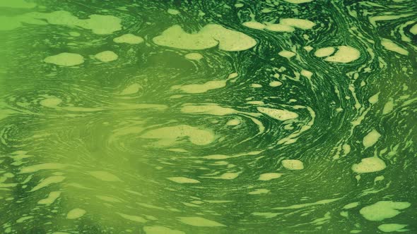 Polluted Toxic Green Water And Gas