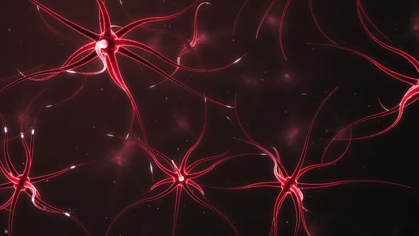 Neurons Forming A Neural Network