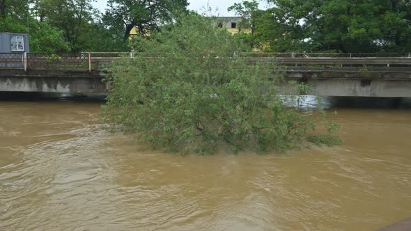 Rural Farm Flooding Featuring Farm House on Dry Flooded Fields