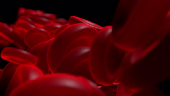 Close-up simulation of blood cells in onanism