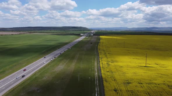 Flower Fields of Yellow Rapeseed Against the Background of the Mountains