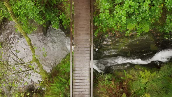 Top Down Aerial View Young Woman Walking By Wooden Bridge Over Creek Forest