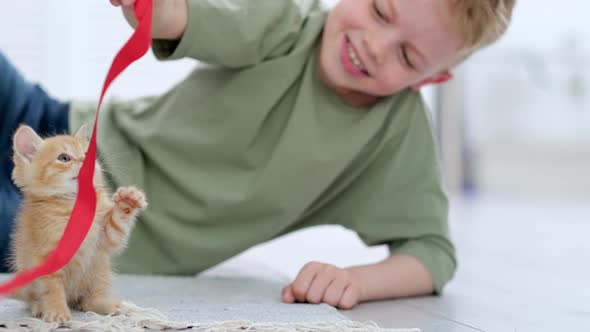 Little Boy Playing with Ginger Kitten Red Ribbon at Home on the Floor