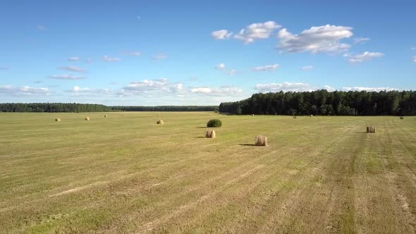 Aerial Motion Over Field with Hay Rolls Against Forest