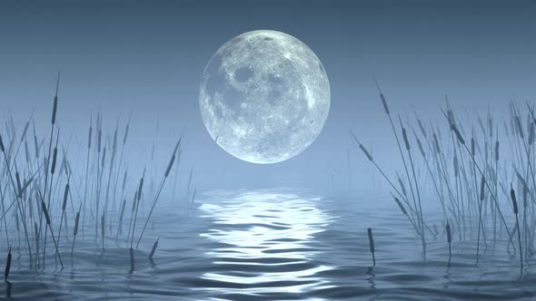 Night landscape of the lake with an unusual big fantastic moon