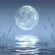 Night landscape of the lake with an unusual big fantastic moon - VideoHive Item for Sale