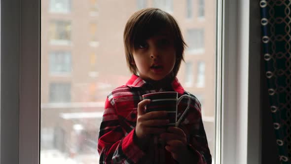 Boy Child in a Plaid Shirt is Sitting By the Window and Drinking Tea