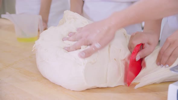 Closeup of Piece of Dough