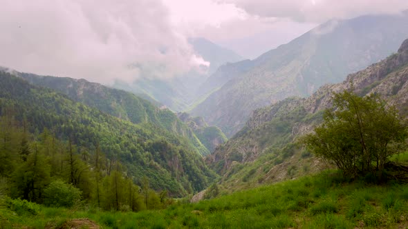 Mountain Toraggio in Liguria (Imperia). Sentiero degli Alpini, Alpines Path. Trekking travel destina