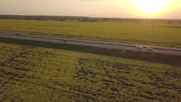 Colorful Yellow Spring Crop of Canola Rapeseed or Rape Viewed From Above