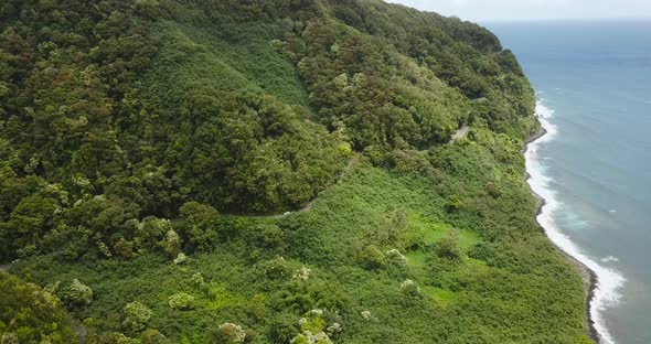 An aerial shot of the road to Hana in Maui. Showcasing the blue coast line beside the lush forestry