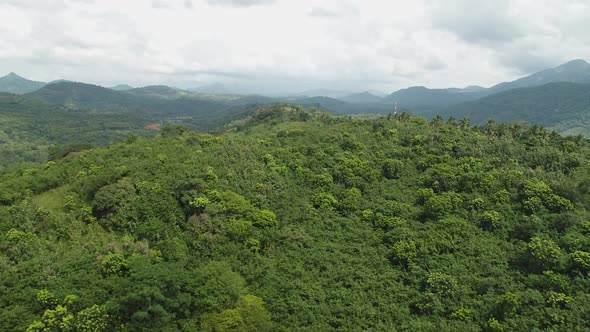 Flyover A Dense Forest Covered Mountain