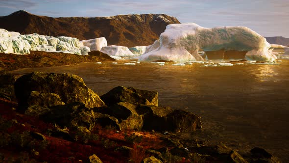 Antarctic Icebergs Near Rocky Beach alt