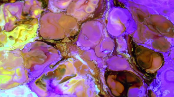 Color Explosion Abstract Art Painting 486 alt