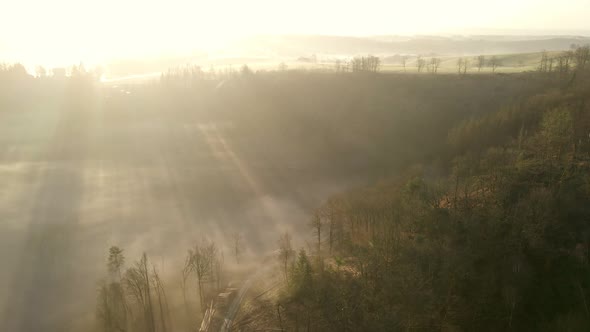 Logging road leading through a dry winter forest in Germany during a magnificent sunrise. Wide angle