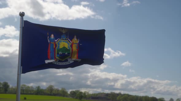 Flag of New York State Region of the United States Waving at Wind