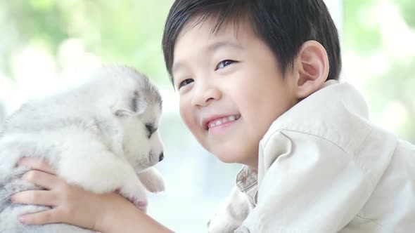 Cute Asian Child Kissing Siberian Husky Puppy