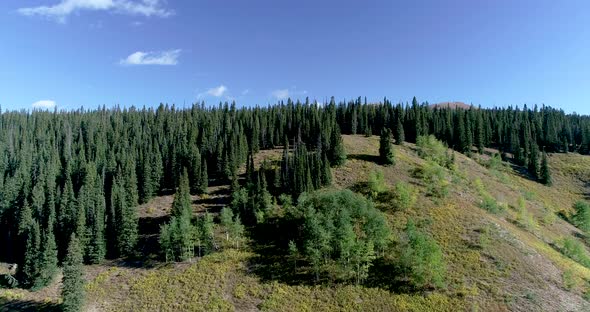 Kebler pass near Crested Butte Colorado forests and mountains.