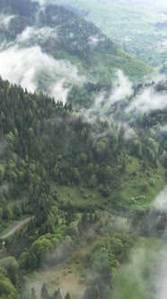 Vertical Video of Fog in the Mountains