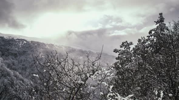 Winter Mountains And Fog alt