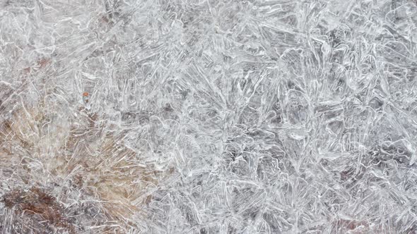 Cracked Ice Texture with Frozen Autumn Leaves Closeup Slow Motion