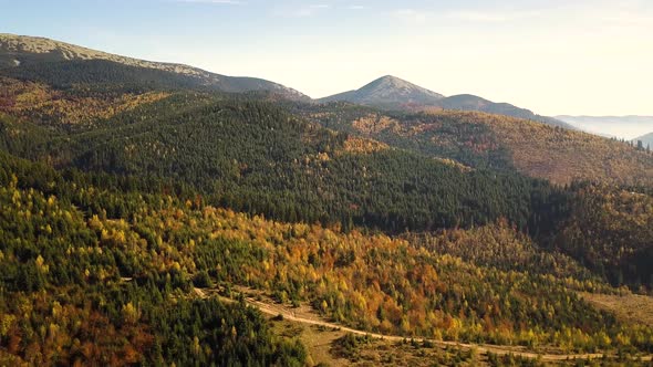 Aerial view of autumn mountain landscape with evergreen pine trees and yellow fall forest