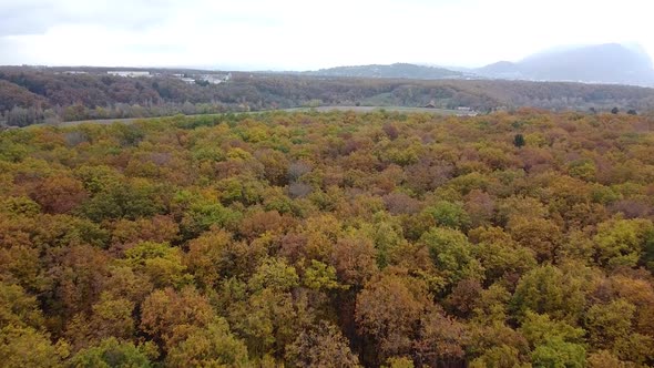 Drone shot ing backwards) of Autumn Forest with Colourful Leaves and Horizon