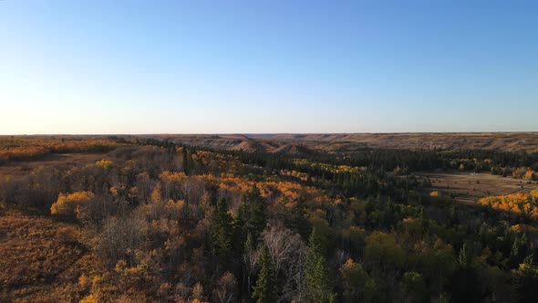 Drone flying forwards revealing the colours of autumn season in central Alberta during fall.