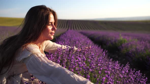 Young Woman with Long Hair Gently Caress Lavender Bushes with Hand