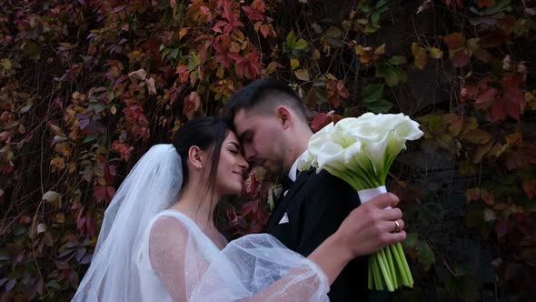 Couple in Love on Their Wedding Day