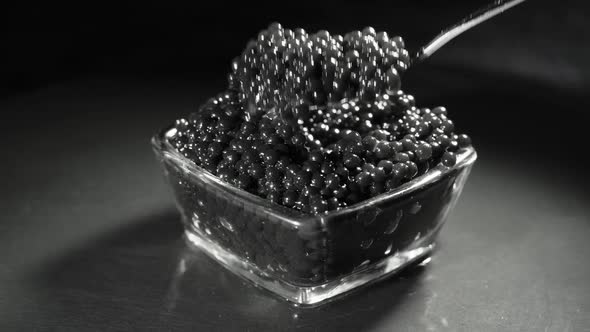 A Man Scoops Up a Delicious Black Caviar From a Transparent Bowl with a Spoon