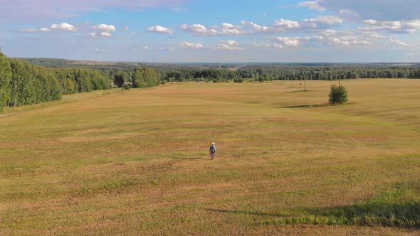 Farmer Walking in Mown Field