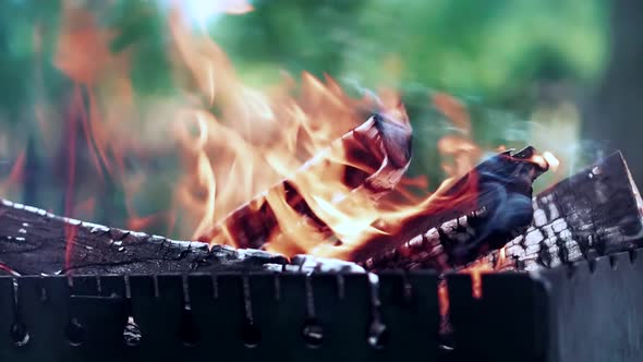 Metal Mangal With Coals. Grilled Meat On Grill. Wooden And Coal Fire Flames On Mangal.