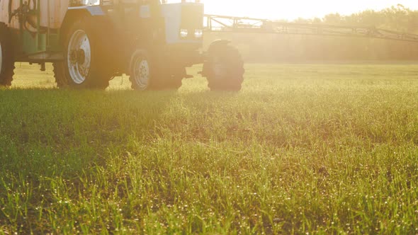 Spraying a Green Wheat Field By Tractor