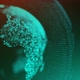 Plexus Cyber Earth - VideoHive Item for Sale