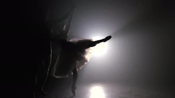 Professional Ballet Couple Dancing in Spotlights Smoke on Big Stage