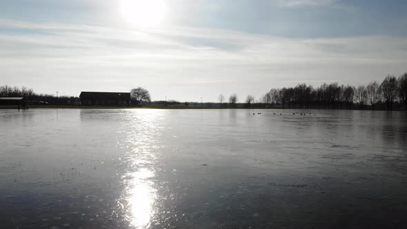 Fly Away At Icy Lake By The Meadow Landscape At Sandelingen Park Near Hendrik-Ido-Ambacht In South H