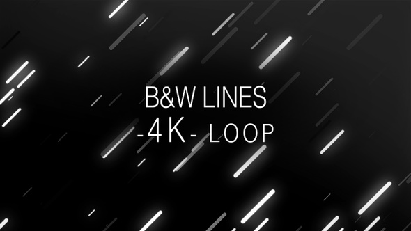 Black and White Glowing Lines 4K