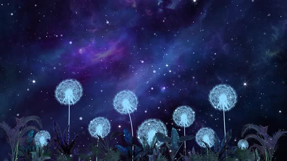Night Universe Starry Dandelion Particle Background