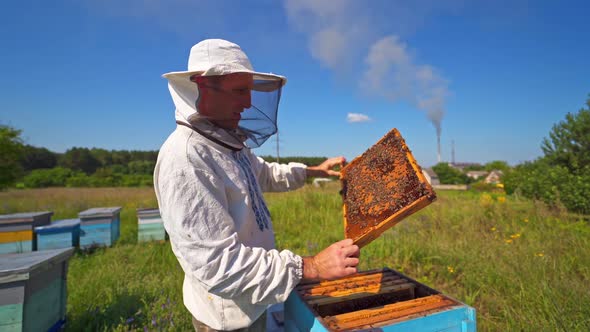 Farmer working on apiary. Beekeeper looking after bees on village background. 