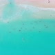 A Group of Bathers Relaxing on the Caribbean Ocean, Aerial View - VideoHive Item for Sale