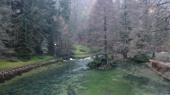 River and forest in natural park 4K