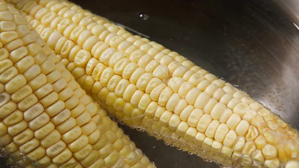 Cooking Boiled Corn Closeup