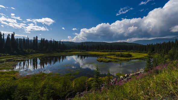 Vibrant Pond in the Mountains  Timelapse