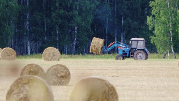 Tractor Carries Bales of Straw Halm Across Field