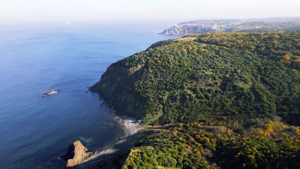 aerial landscape view of sea and cliffs with green land