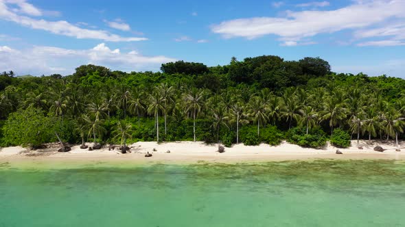 Tropical Island with Palm Trees and a White Sandy Beach