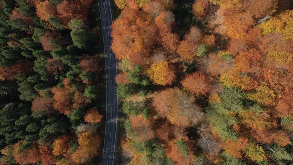 Flying Over The Empty Autumn Road 25